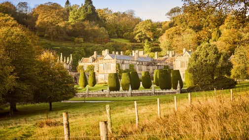 View across the parkland towards Lanhydrock house and its formal gardens, with neatly clipped yew trees, golden autumn foliage and wooded hills behind.